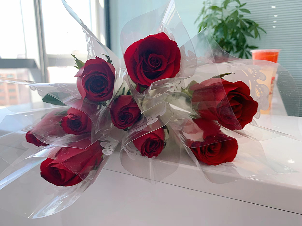 廣州高能計(jì)算機(jī)共慶38女神節(jié)(圖3) 廣州高能計(jì)算機(jī)共慶38女神節(jié)(圖3)